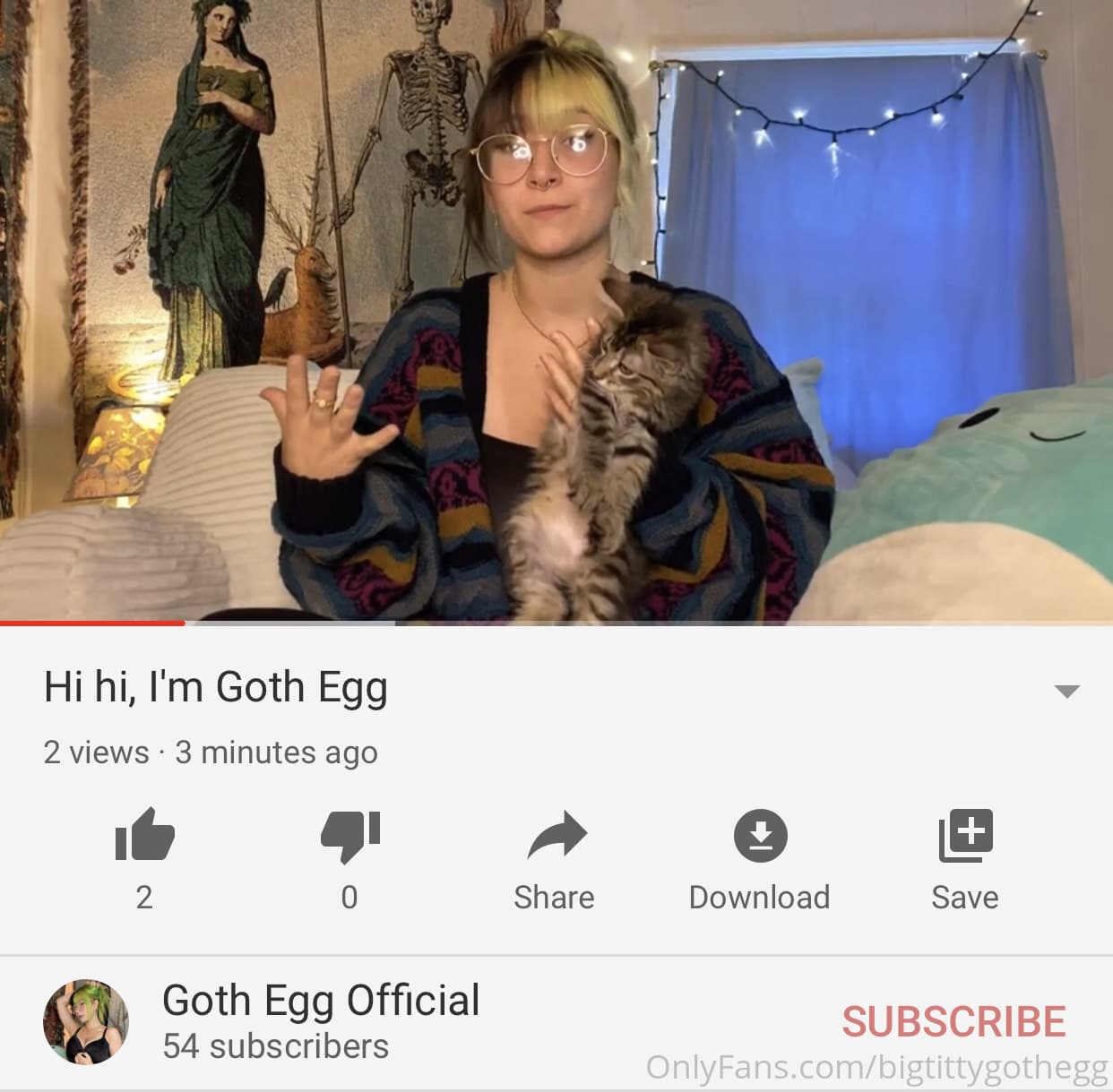 33911302