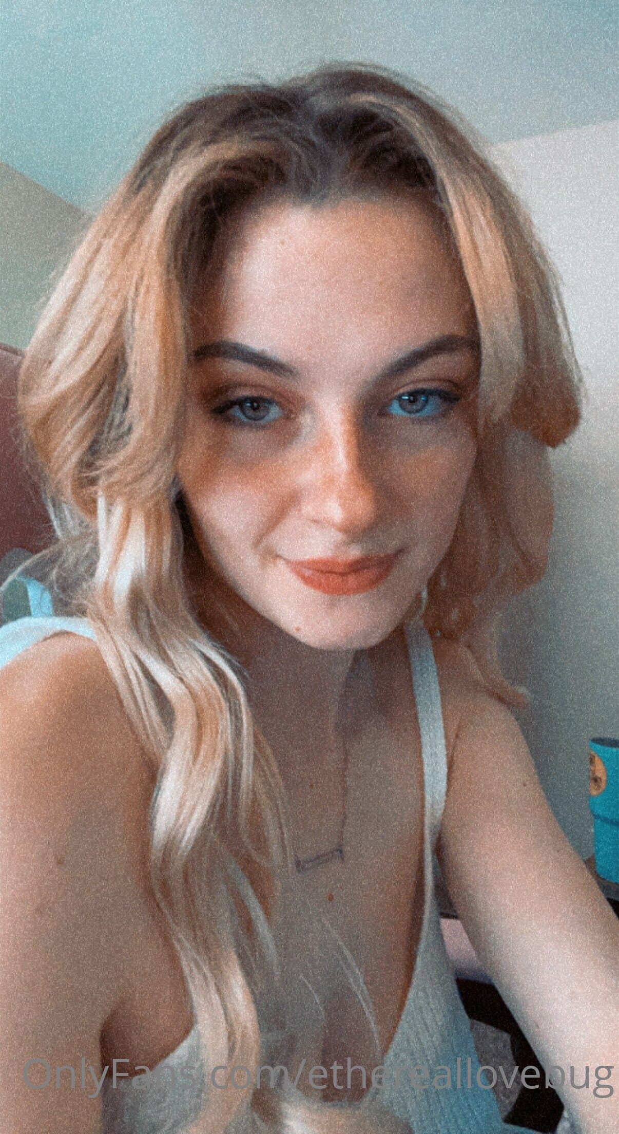 288503042