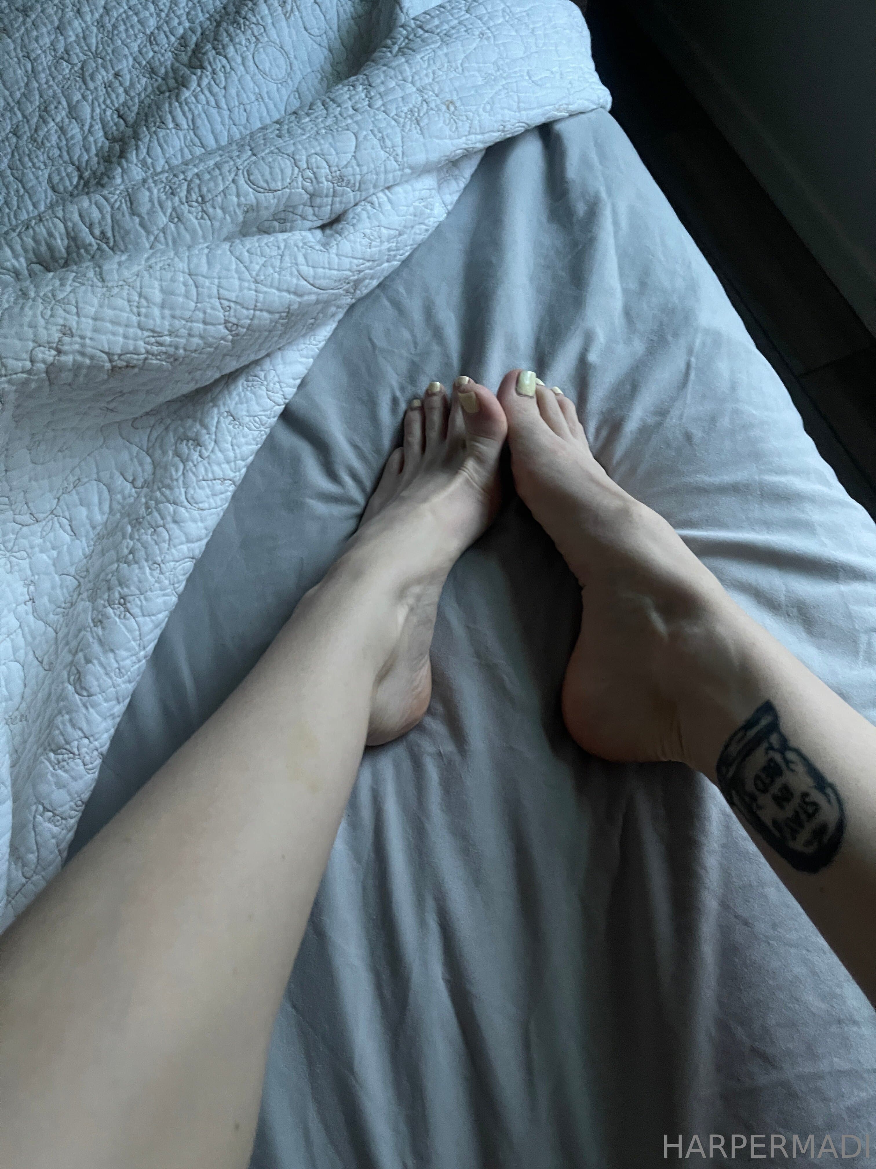 1195576539