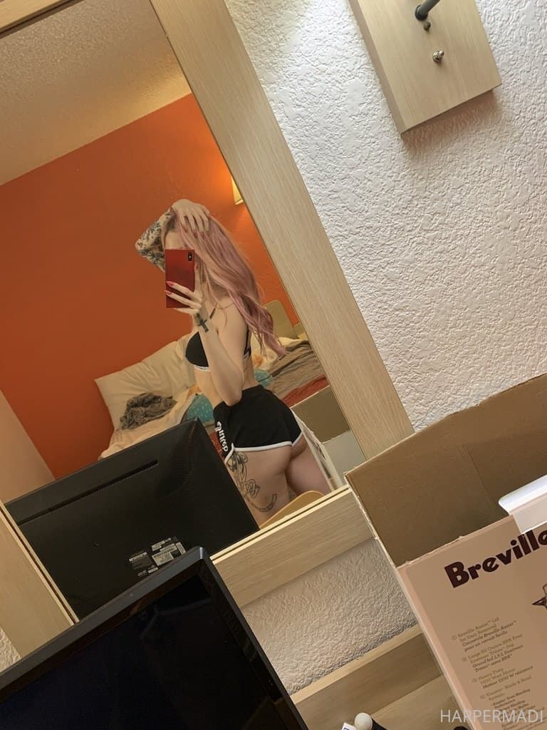 12079441