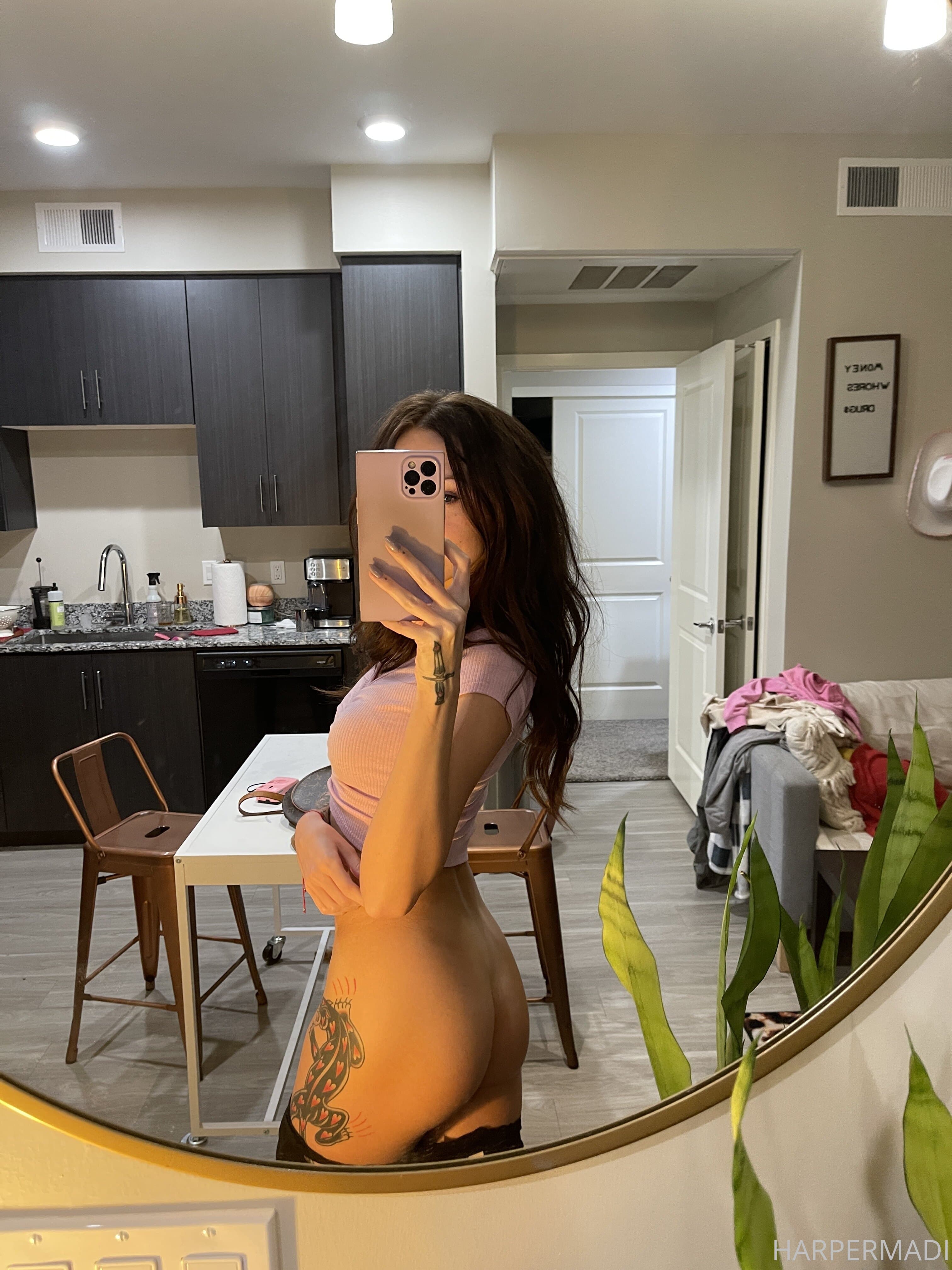 228553381