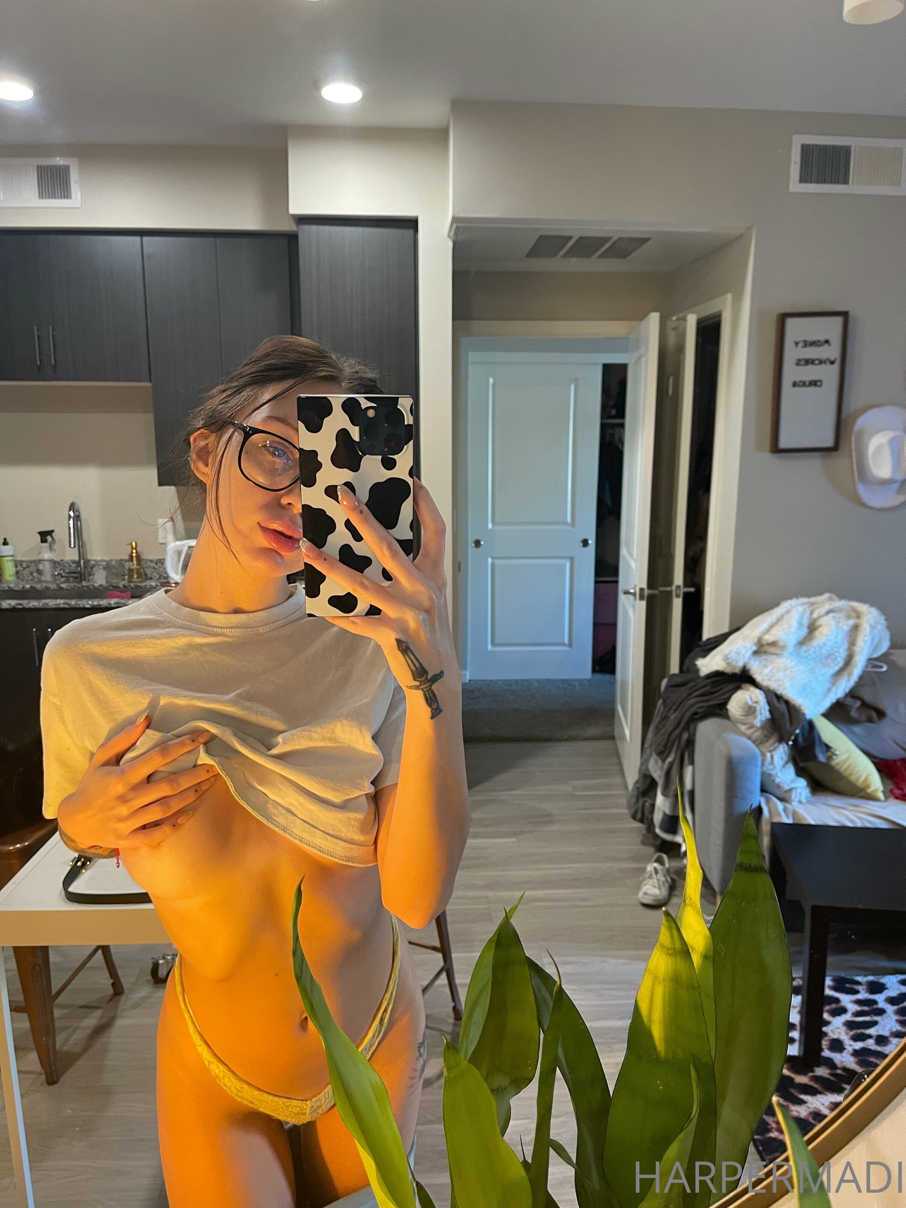 247816019
