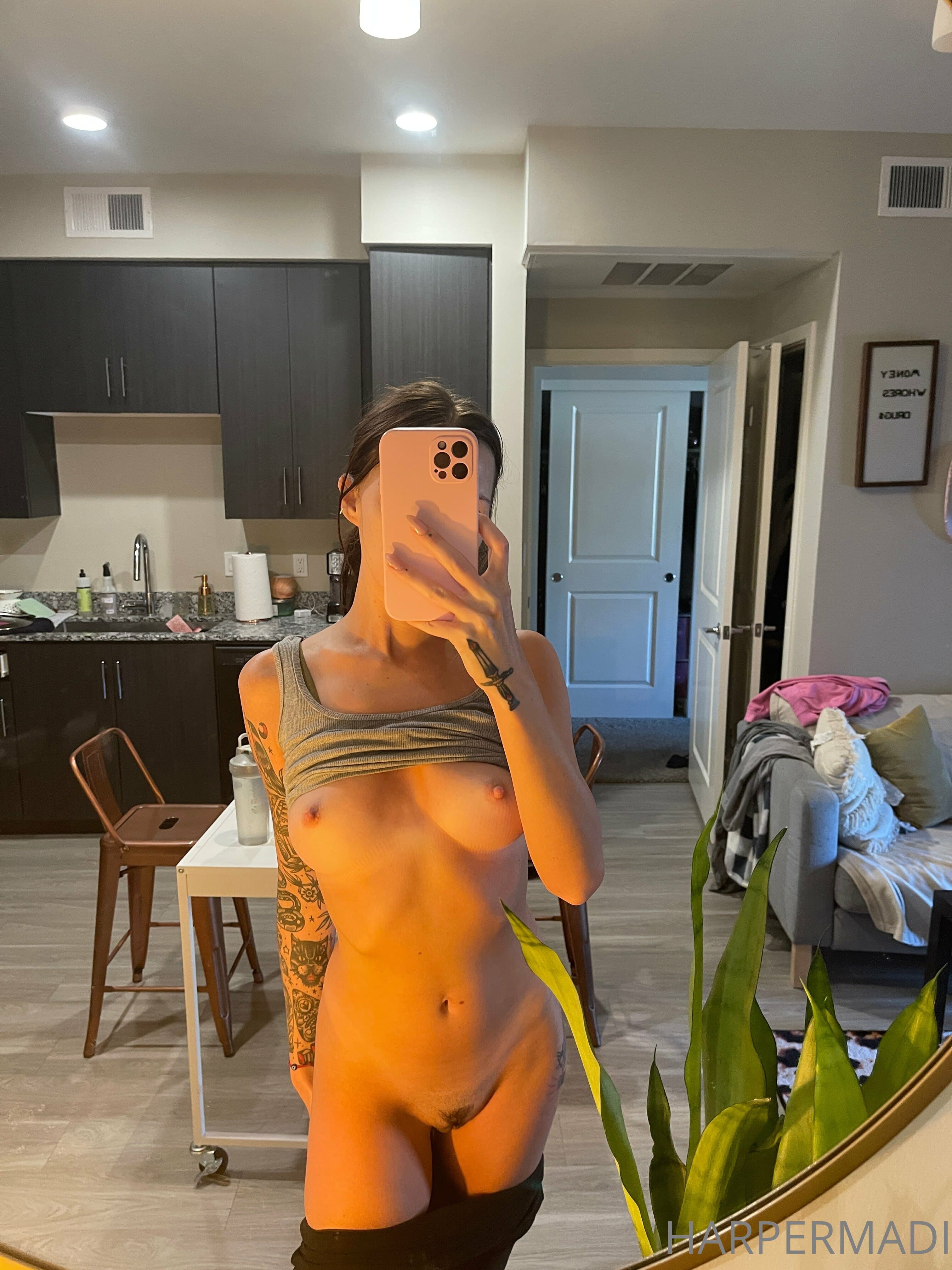 272868488