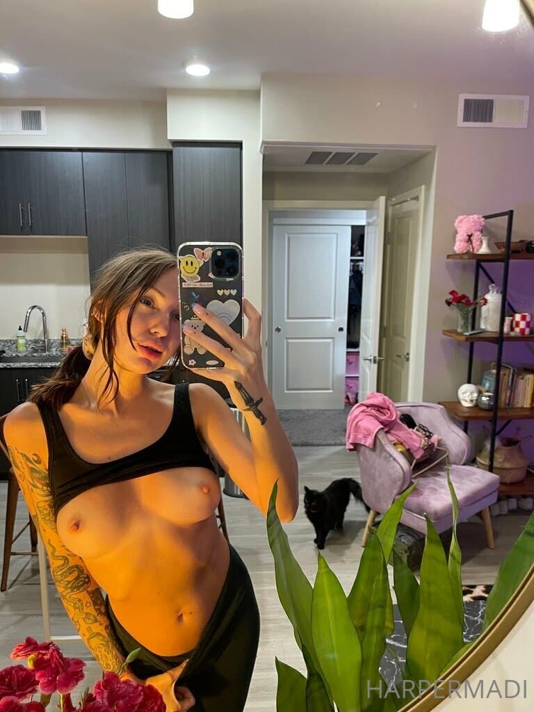 Media 111027