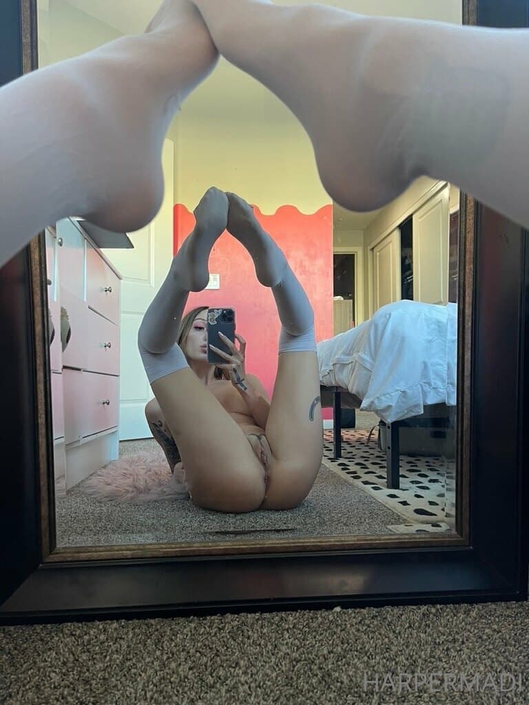 403646085