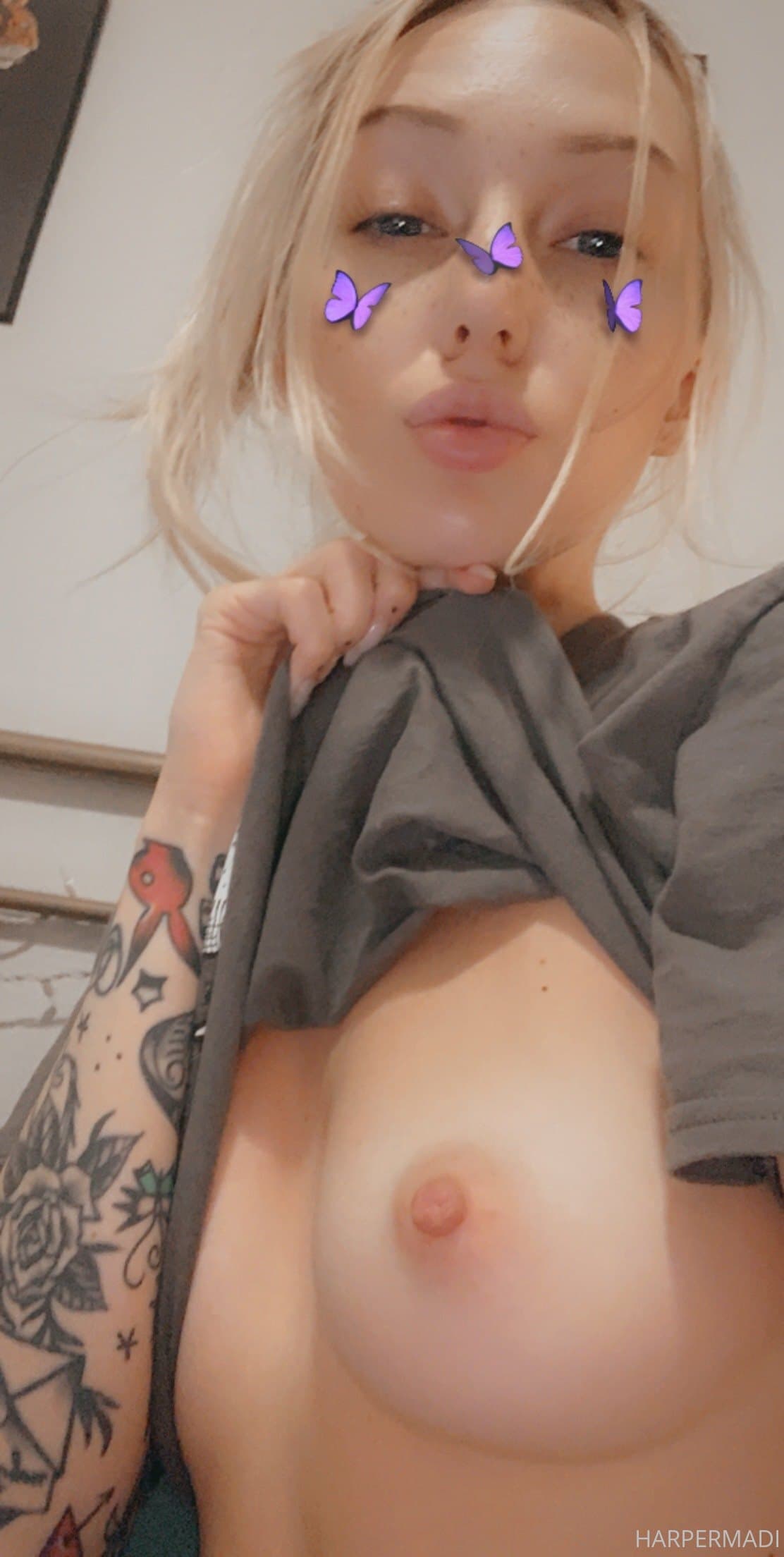 40642897