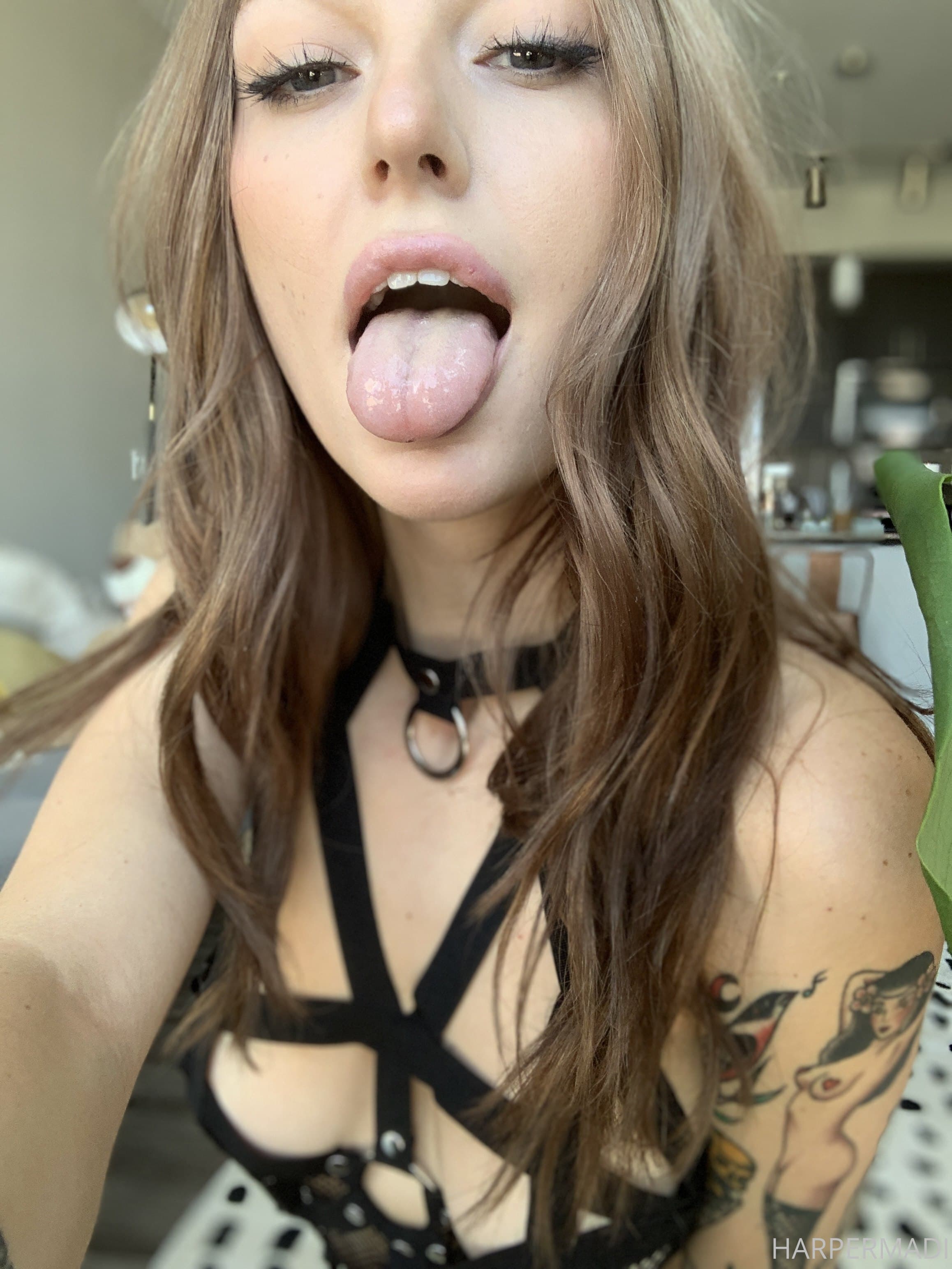 45345411