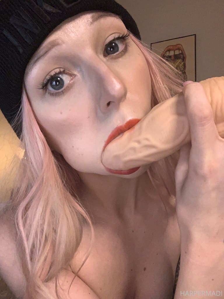9232941