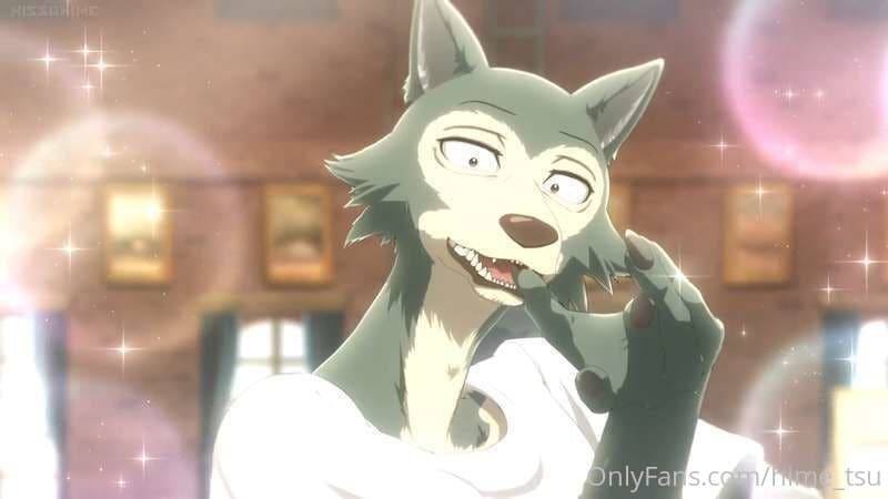 33372669