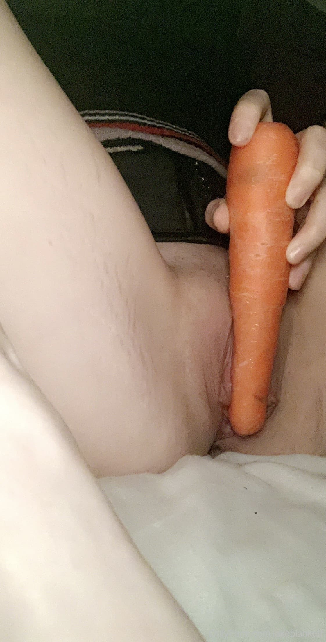3690104