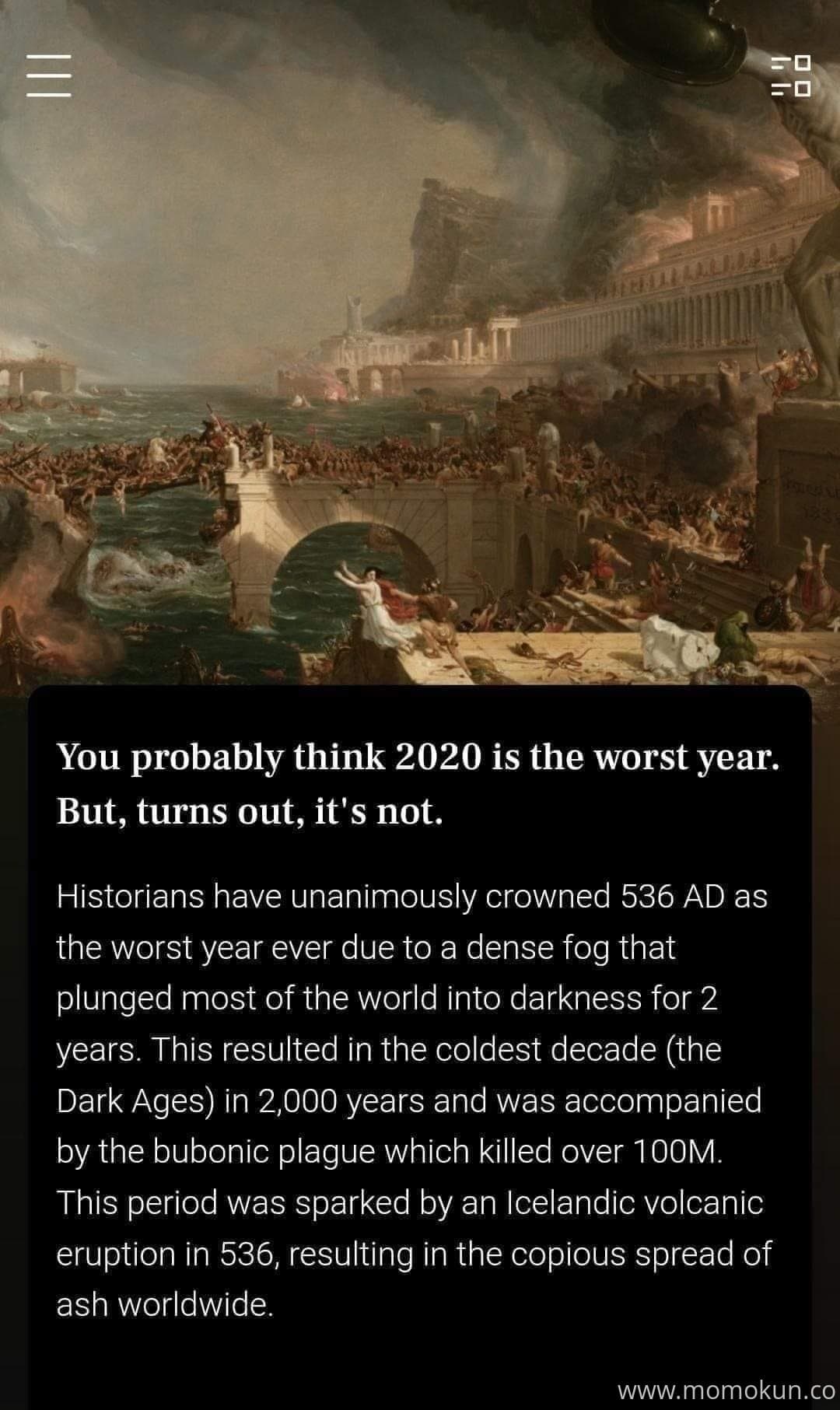 49542596