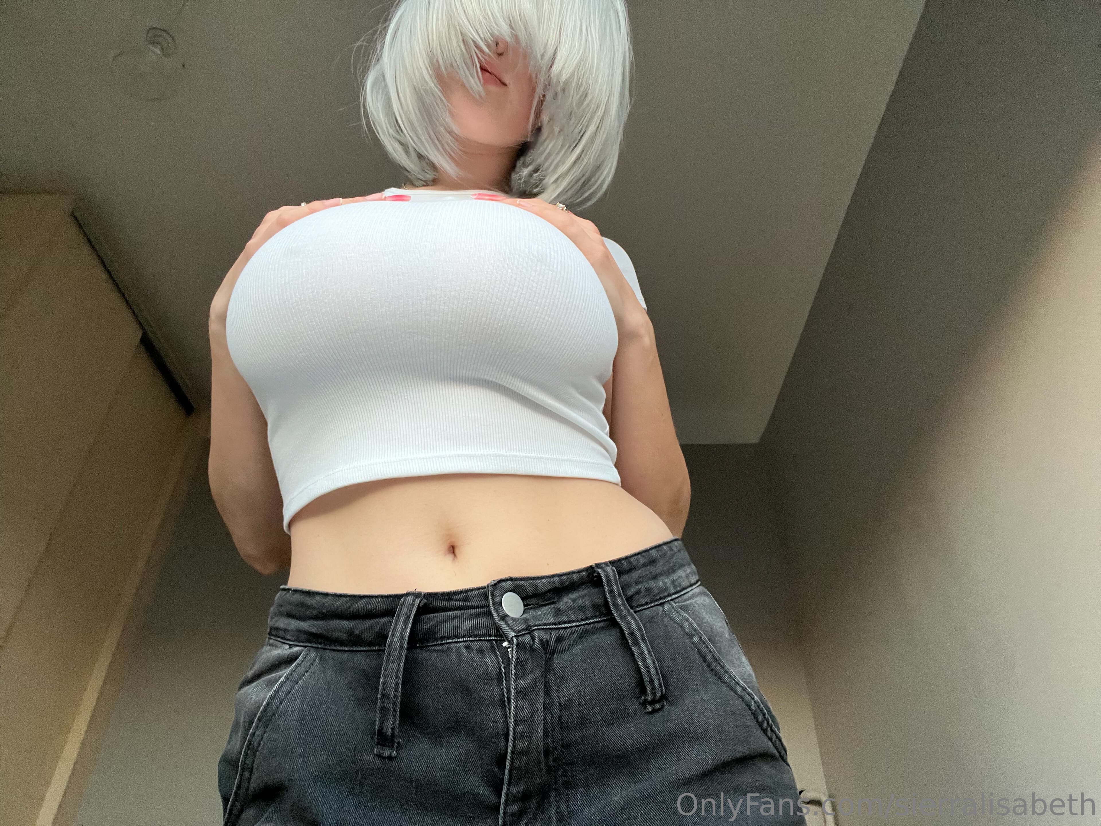 Media 166524