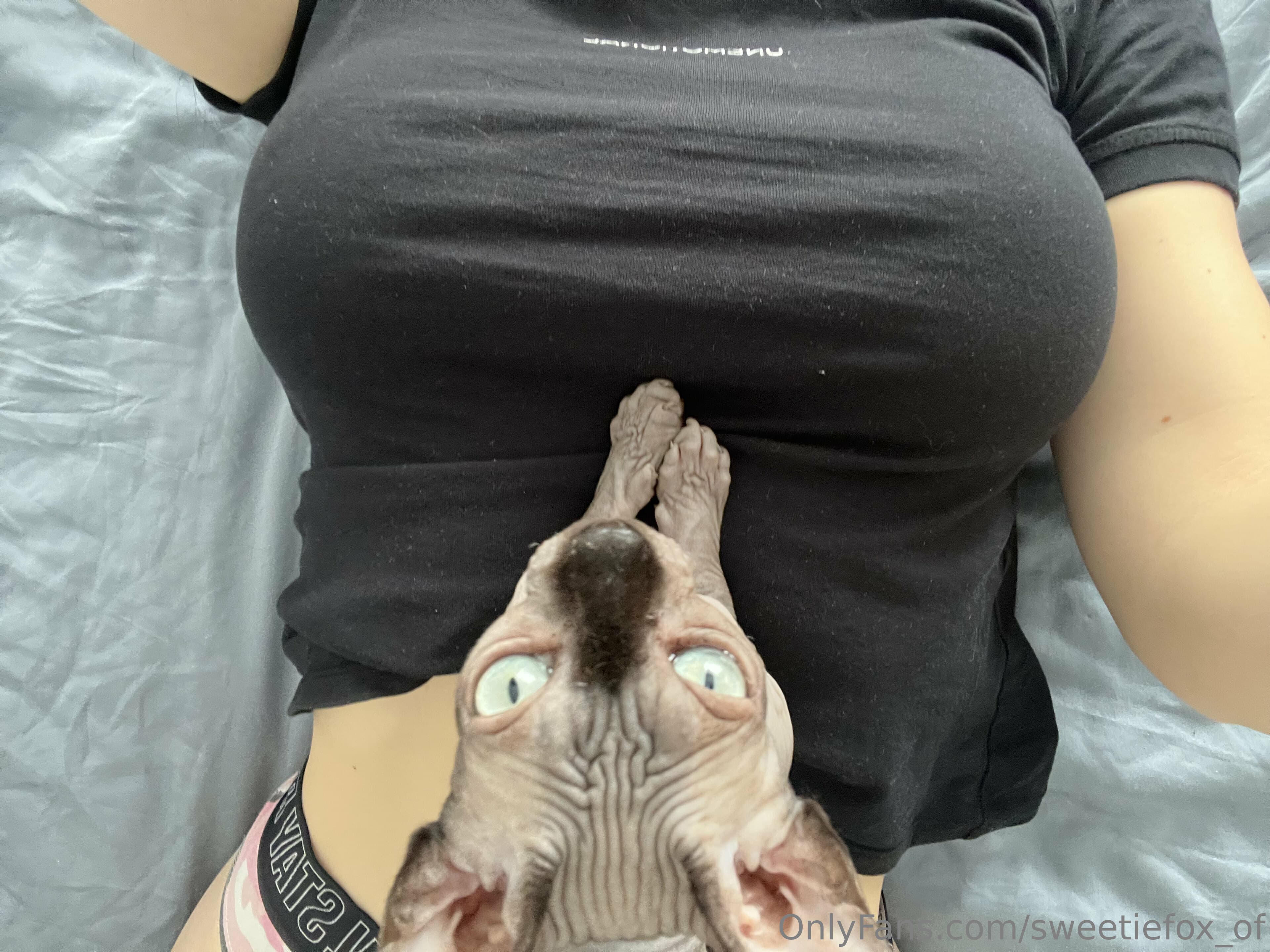 437720856